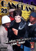 Gangland 29