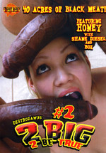 2 Big 2 Be True 2