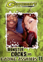 Monster Cocks And Gaping Assholes 11