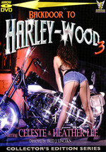 Backdoor To Harley-Wood 3