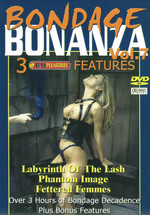 Labyrinth Of The Lash