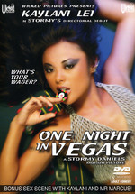 One Night In Vegas