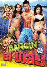 Bangin' The Bi-Way