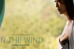 Fetching Asian hottie takes her sexy lingerie off and shows off her delicate body